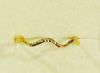 ရေလှိုင်းကွင်း